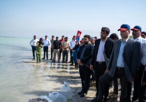 با حمایت آریاساسول؛ ۱۳۰ هزار قطعه ماهی شانک زردباله در ساحل نایبند رها شد