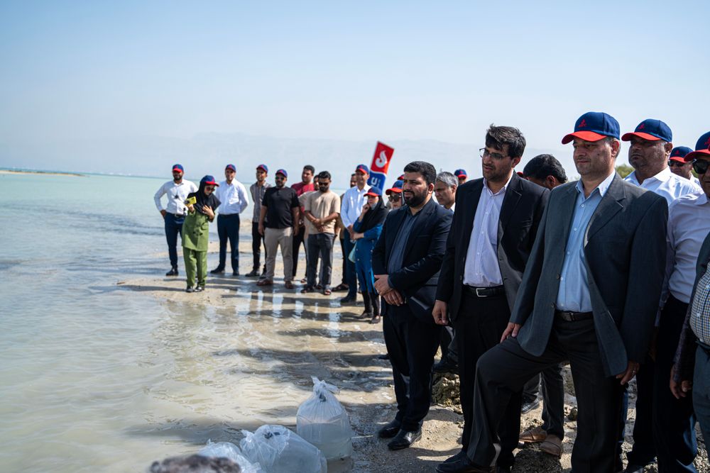 با حمایت آریاساسول؛ ۱۳۰ هزار قطعه ماهی شانک زردباله در ساحل نایبند رها شد