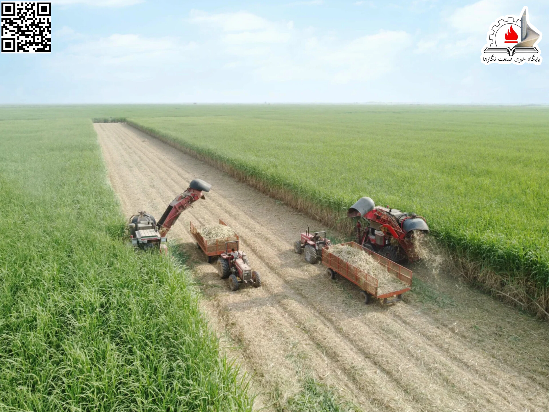 آغاز برداشت سبز نیشکر در خوزستان؛ تغییر رویکردی در سیاست‌های زیست‌محیطی و تولید