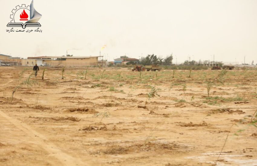 کاشت ۵ هزار نهال بومی توسط نفت و گازمارون