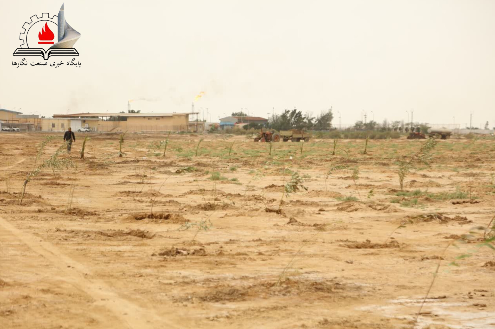 کاشت ۵ هزار نهال بومی توسط نفت و گازمارون